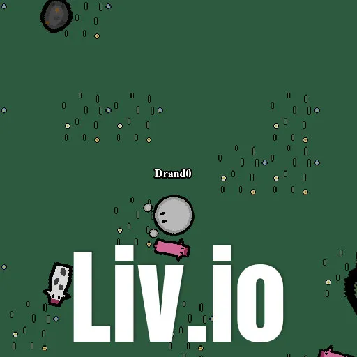 Liv.io